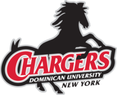Dominican University New York
